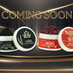 Experience an Alluring Fragrance Journey: Noorson Unveils Its Highly Anticipated New Premium Bakhoor Collection